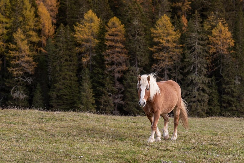 Dolomites, Italy