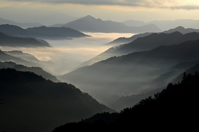 Eco-Friendly Explorations